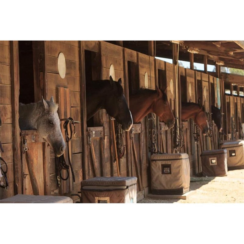 Laeacco Stable Backdrop 7x5ft Vinyl Photography Background - Stud-Farm Horses Scene - Farm Country Village Rustic Rural Theme - Cowboy Portrait Background Prop - Image 1